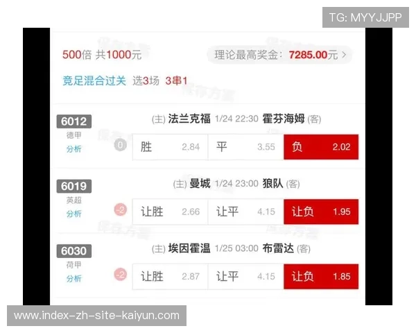 霍芬海姆近十一场不败率达八成二 客场战斗力明显占优